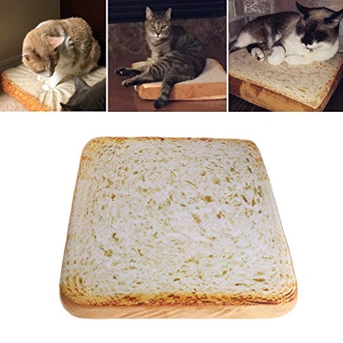 Pet Mat - 38.5x38.5x6.5cm Sponge