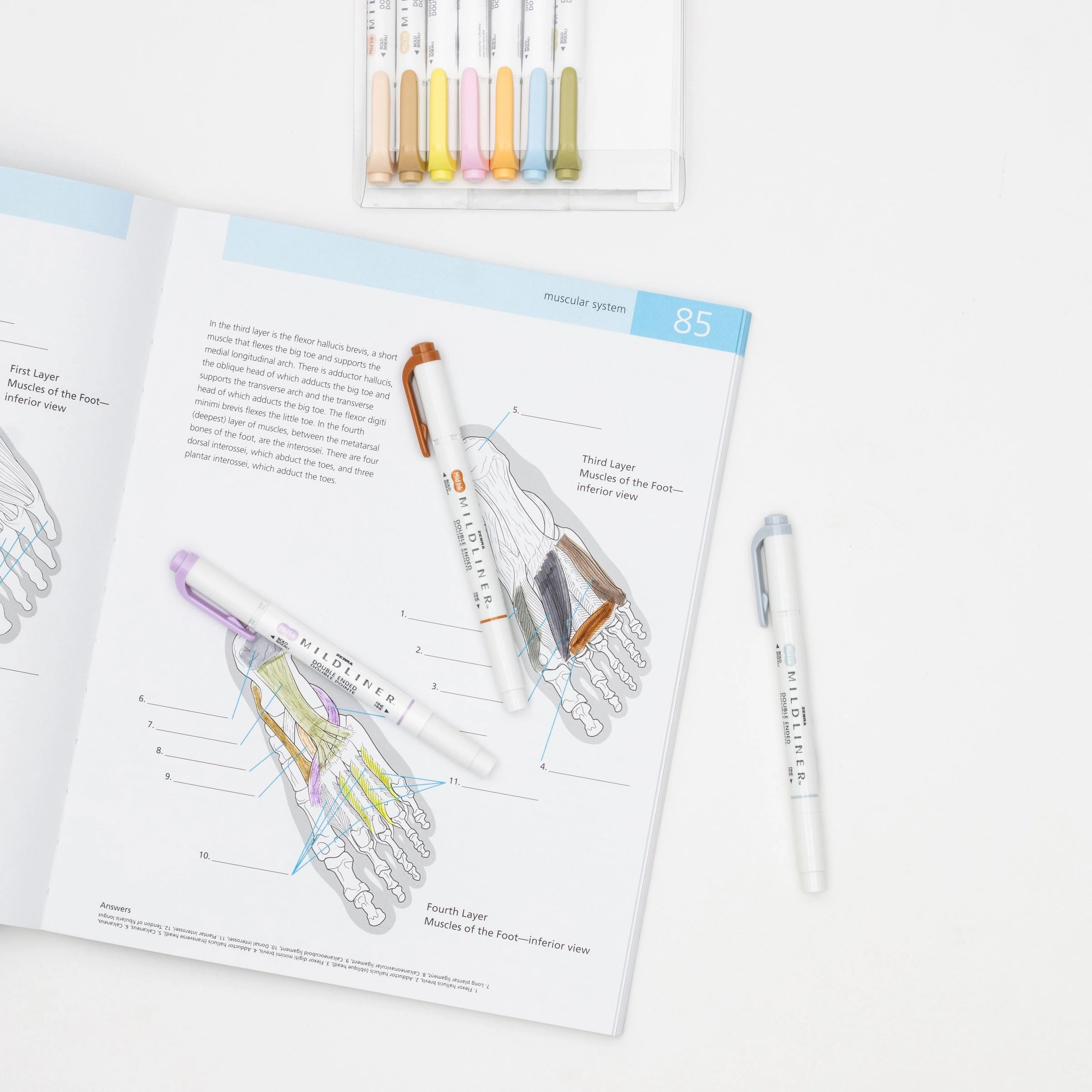 Mildliner - Multicolor Chisel