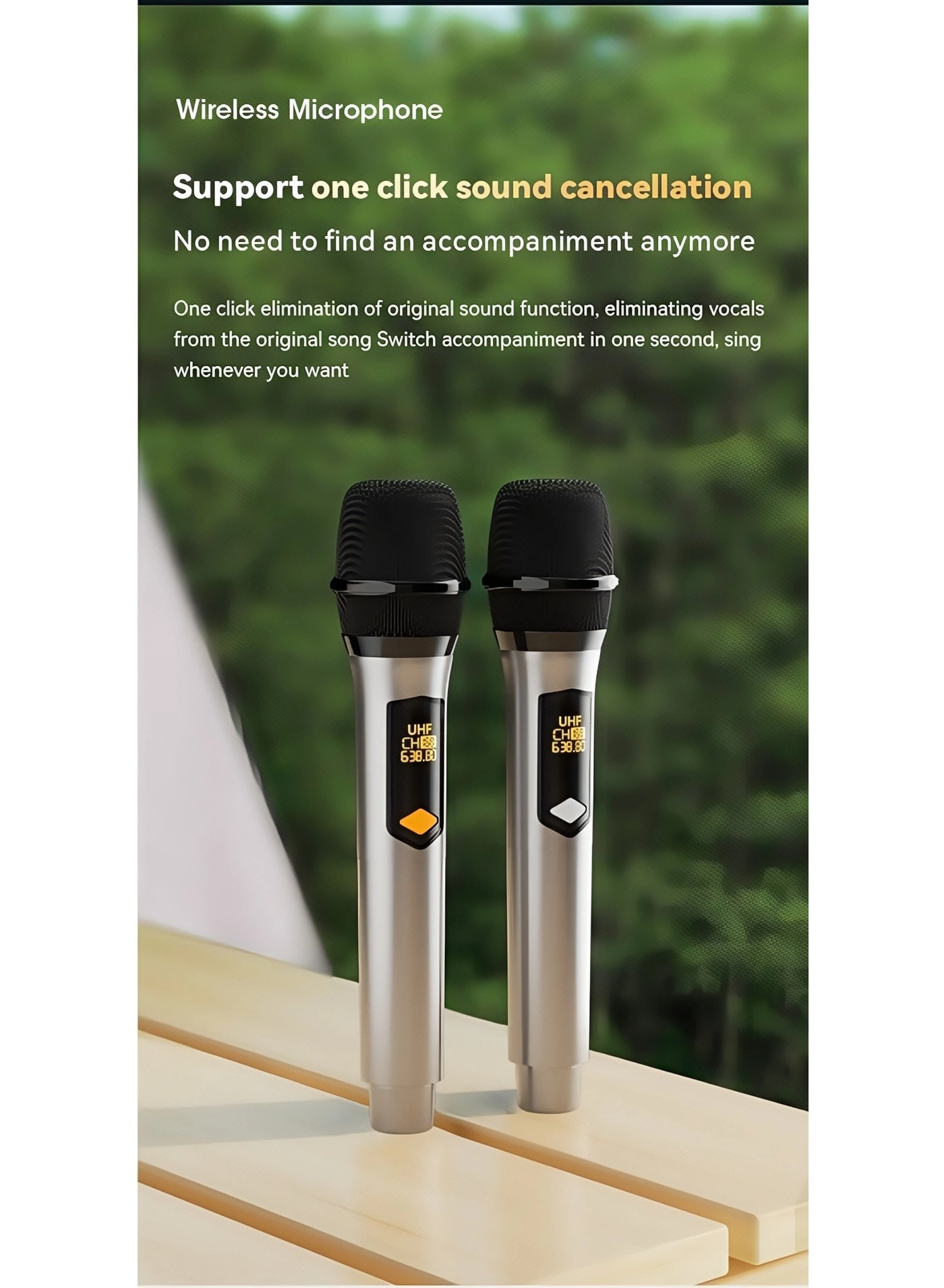 Karaoke Machine - 2 15W