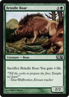 Wizards of the Coast Brindle Boar - M12