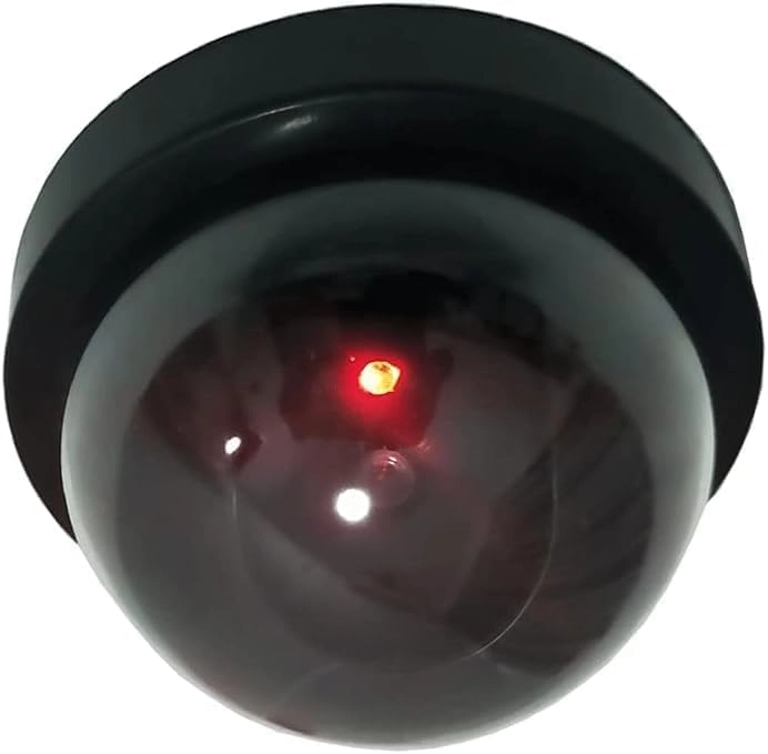 Dome Simulation Camera - Outdoor