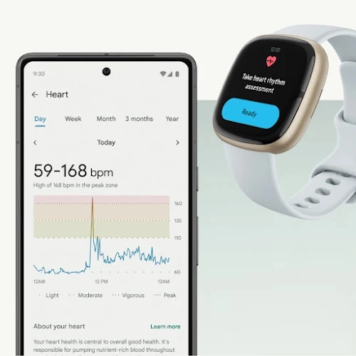 Focus on your heart with the ECG app and heart rate tracking.