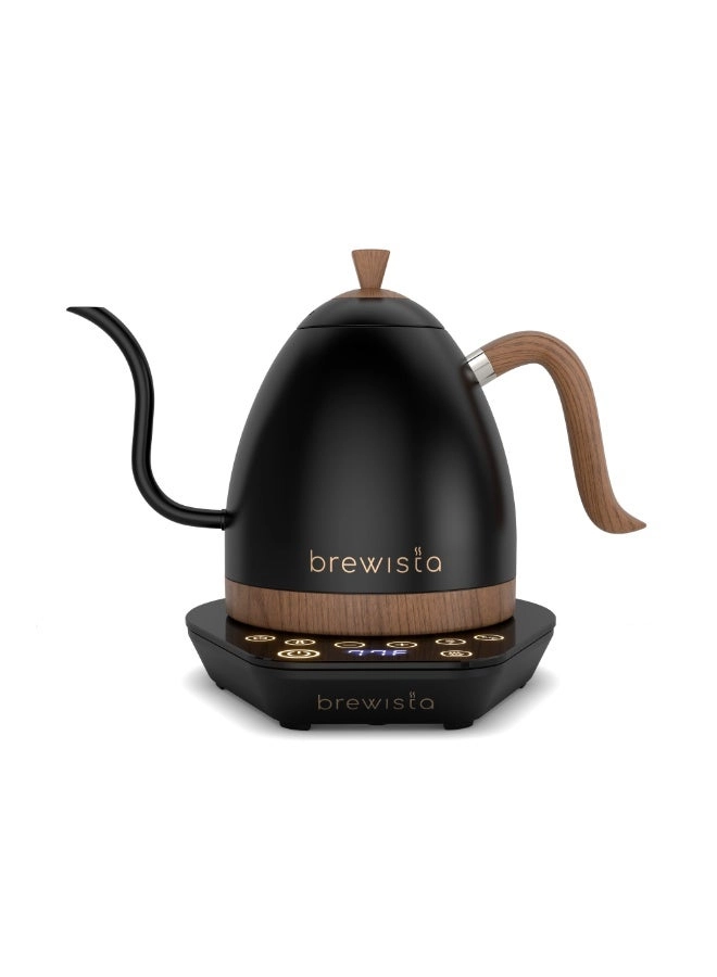 Artisan Electric Kettle