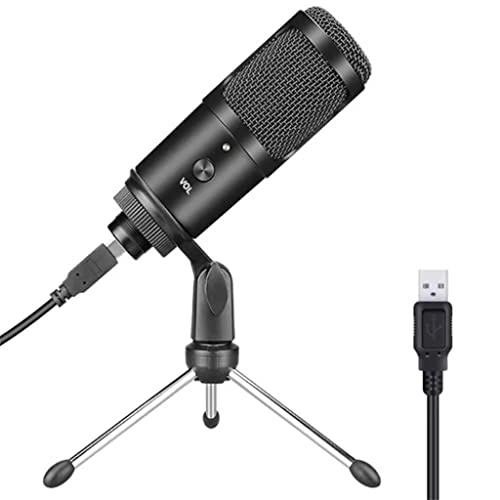 BM 800 Wireless+USB Microphone
