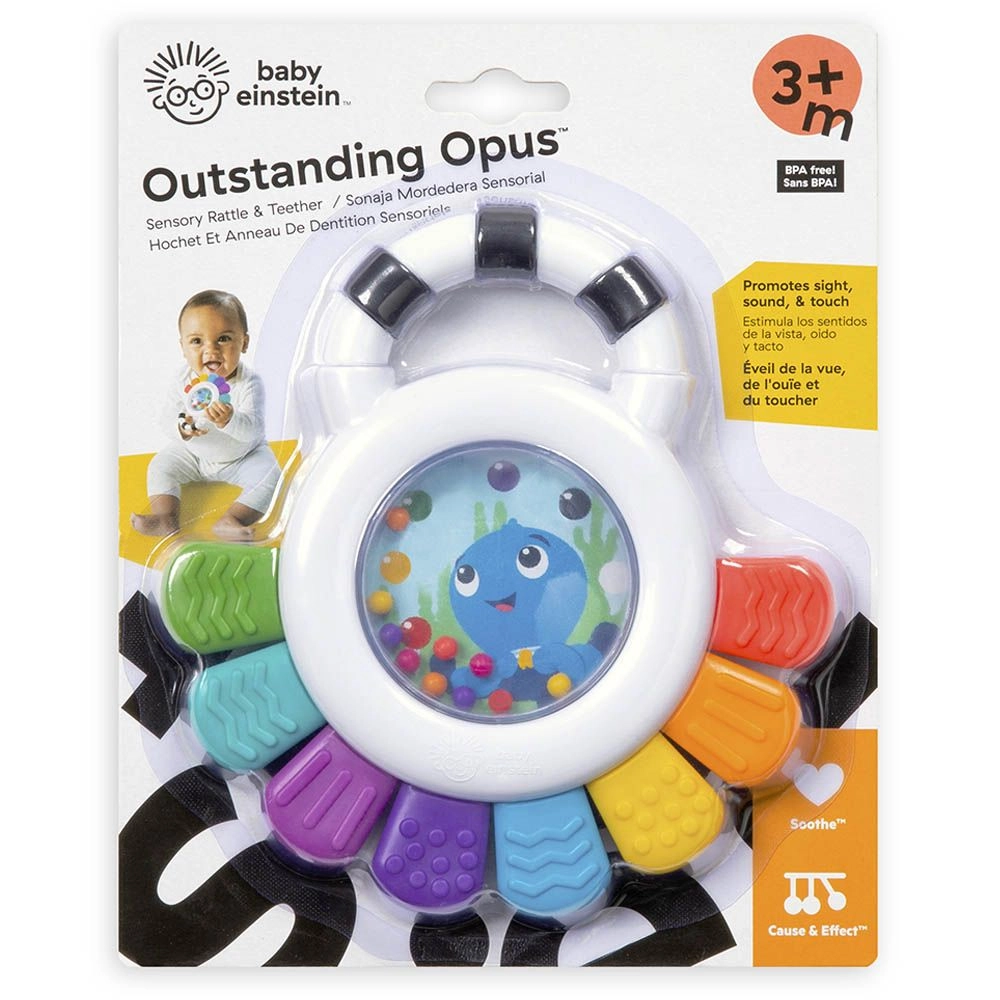 Sensory Teether Toy