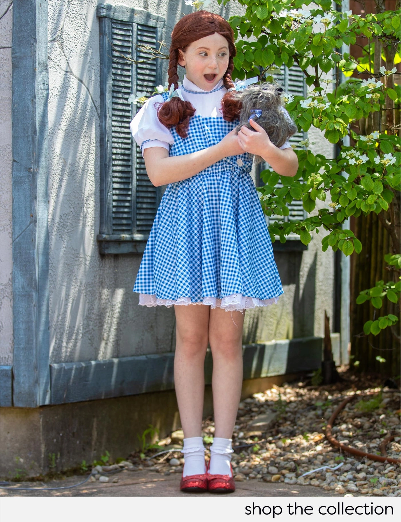 Dorothy's Toto in A Basket - 9" Tall Toto