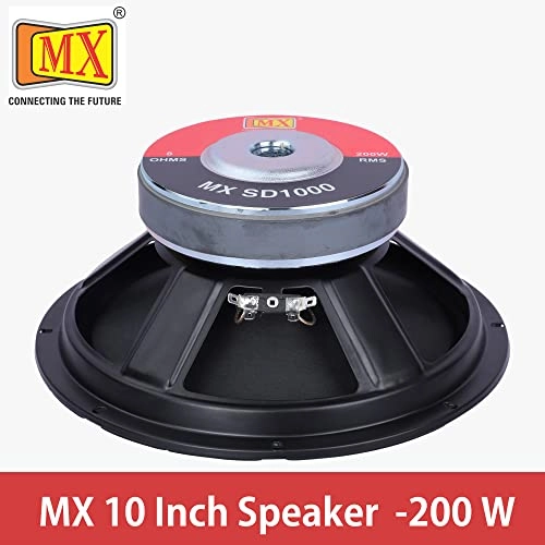 10-Inch Subwoofer Speaker - 250W RMS