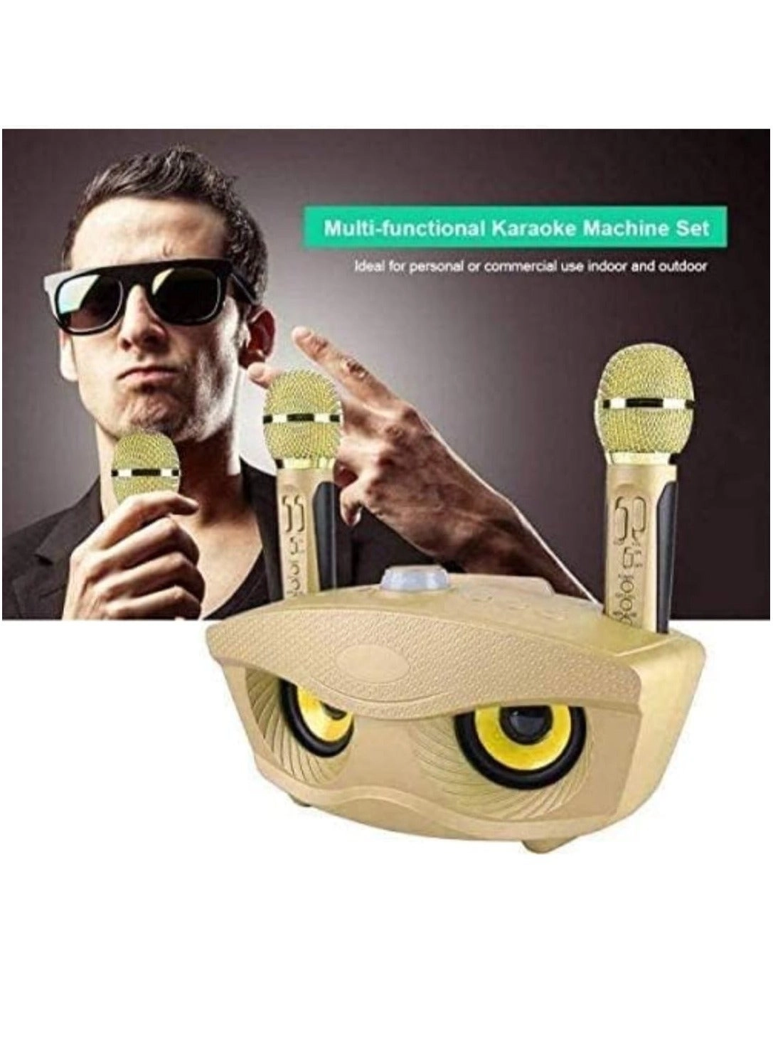 SD-306 - two wireless microphones