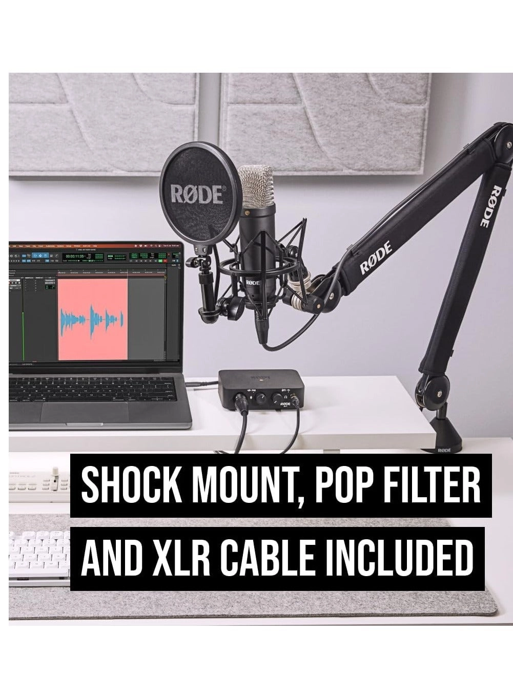 NT1 Signature Wired Microphone