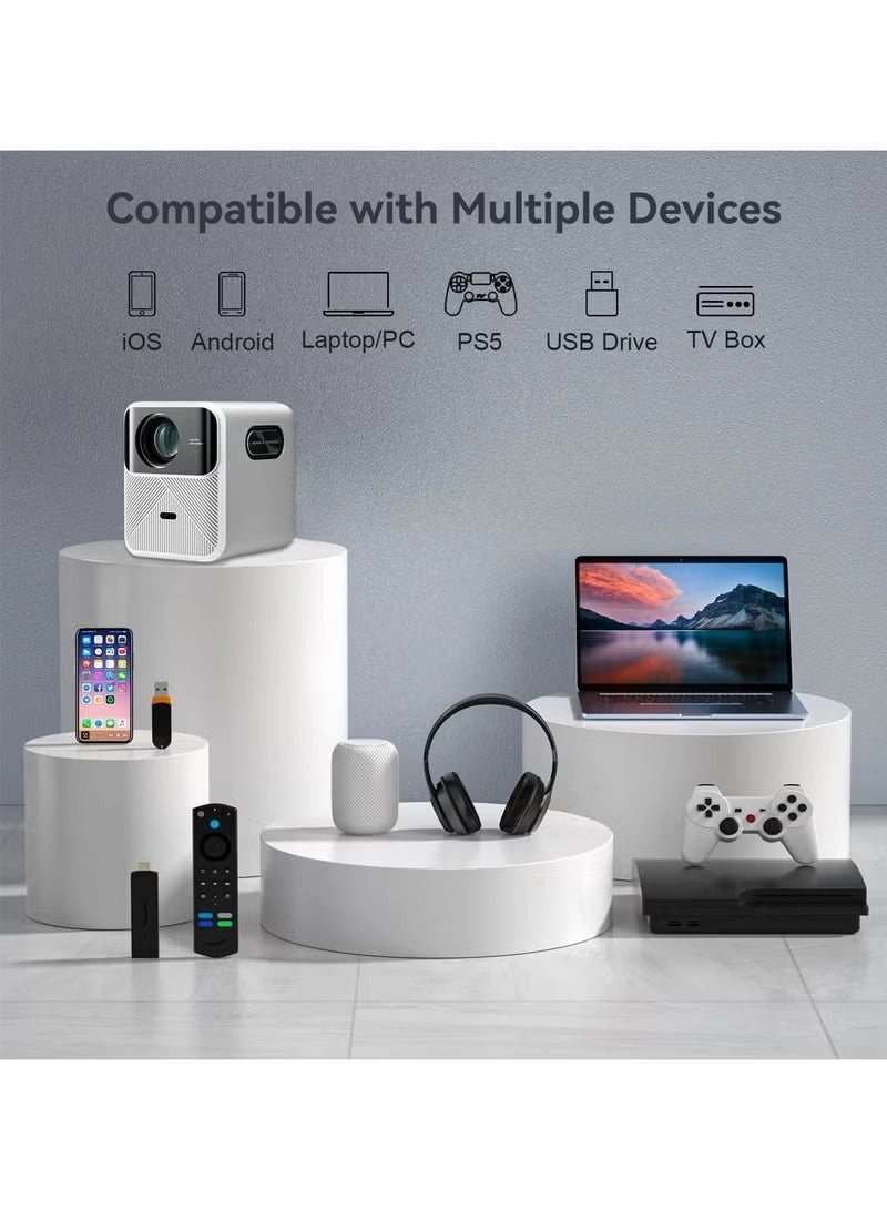 Mozart 1 Mozart1 900 ANSI