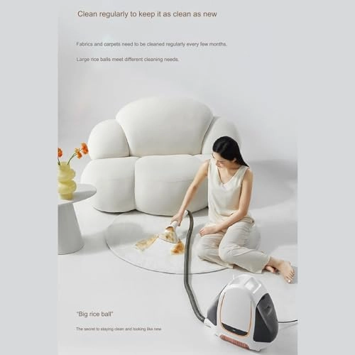 9c34dff-1003540 - Spray and Suction Integrated 450W