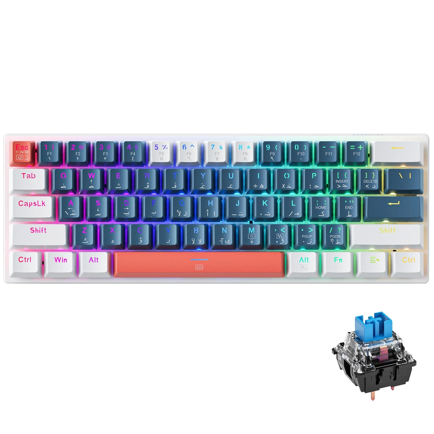 K500-B61 - AR/EN Wired