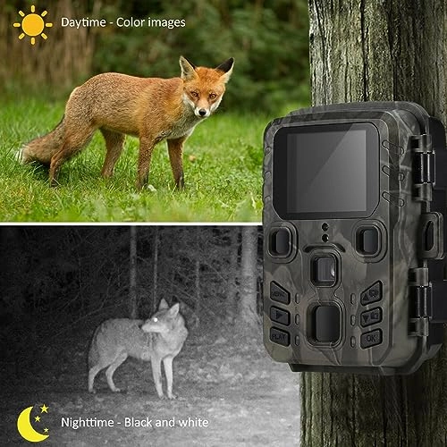 Wildlife Camera - 20MP