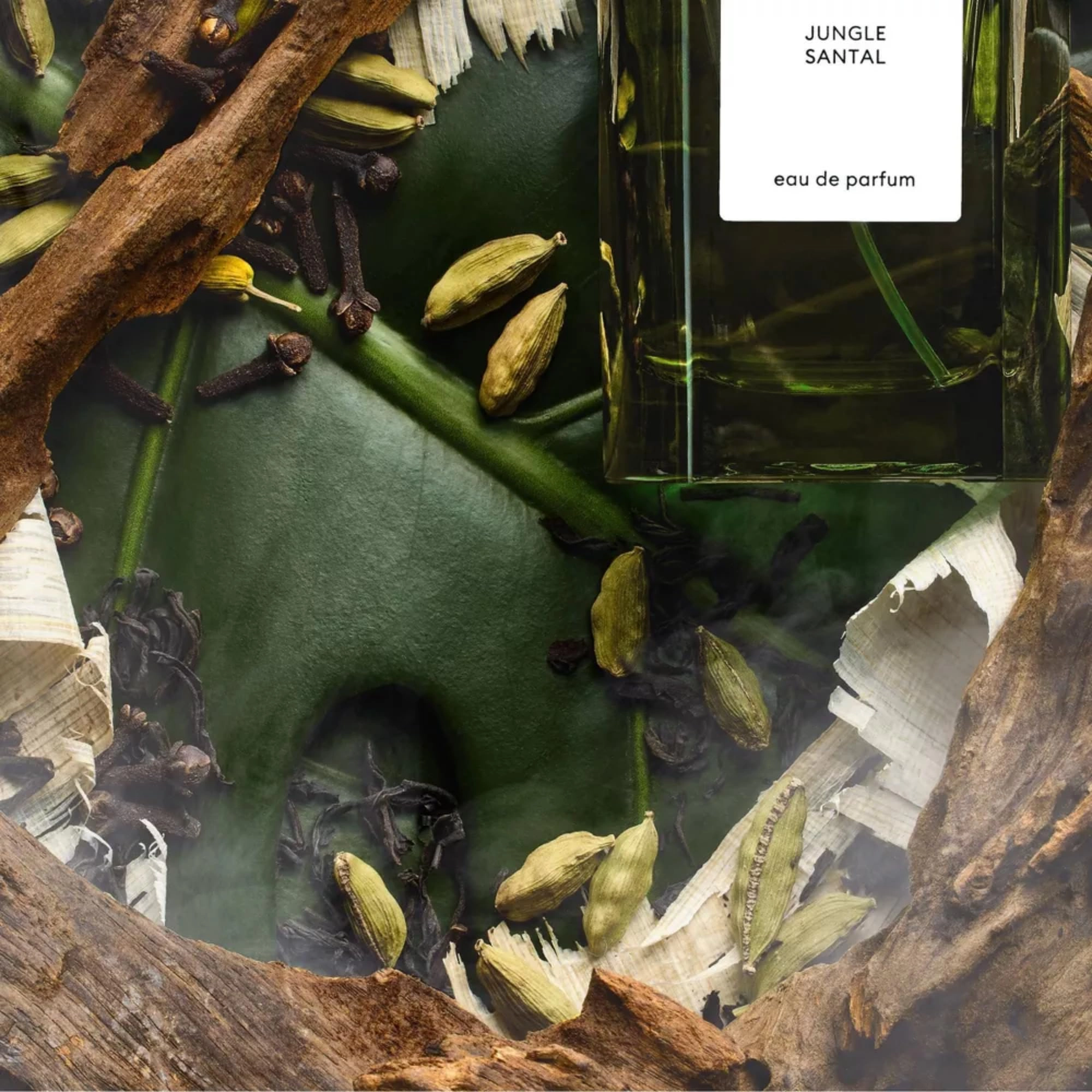Jungle Santal - Eau de Parfum 60mL