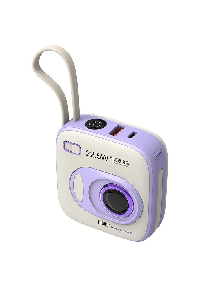 VIWTEC PB-0306 - 10000 Watt-hour 22.5W