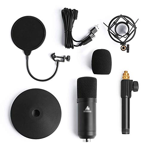 ss1/i47334 USB Microphone
