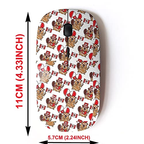 2.4G Cute Pattern Mouse - USB