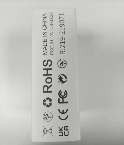 BX29 Wireless Earbud