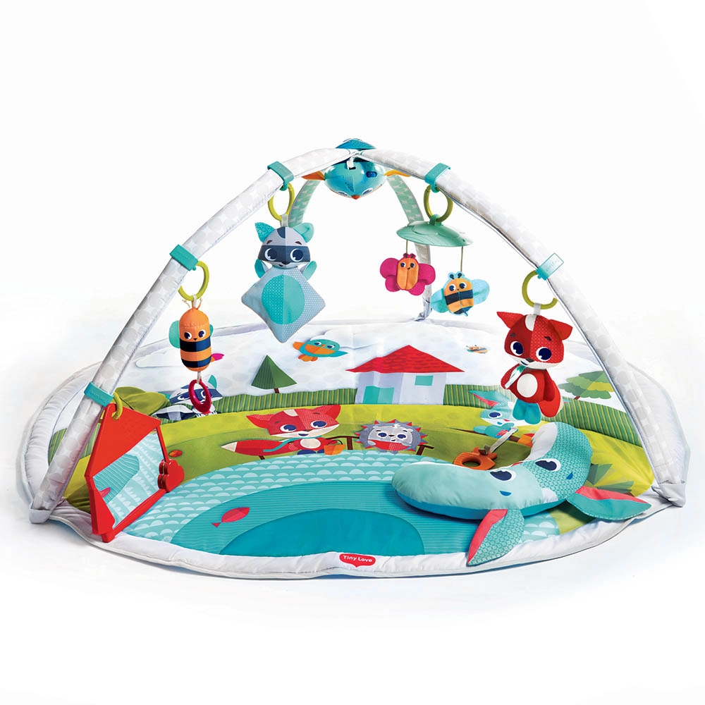 Dynamic Developmental Activity Playgm - 0 month