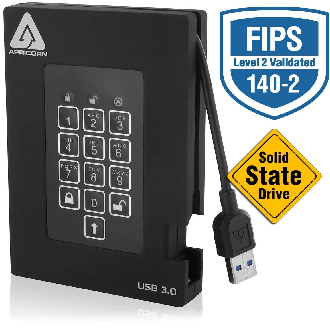 Aegis Padlock - 1TB