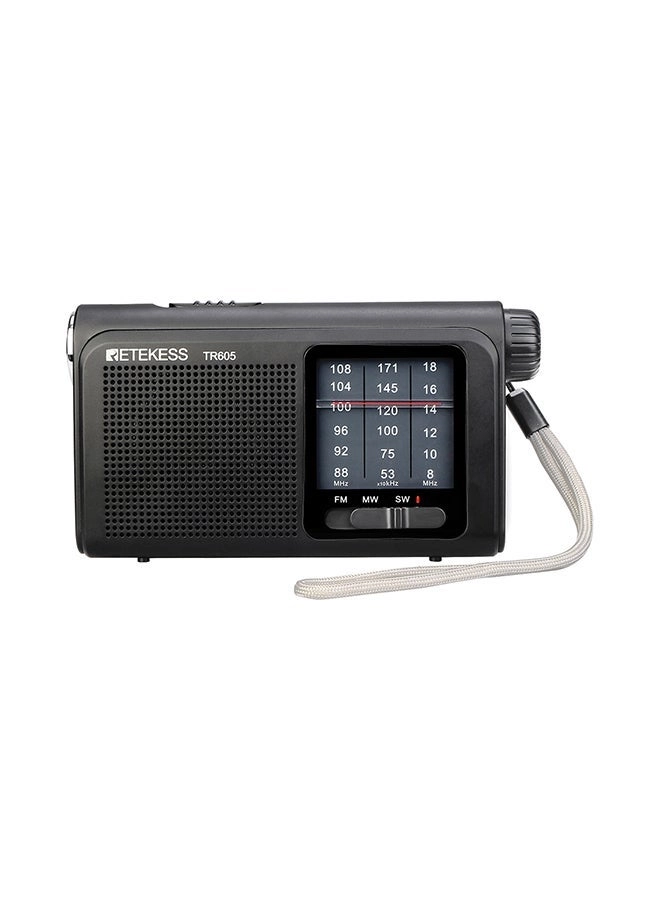 V6622 - Portable Radio