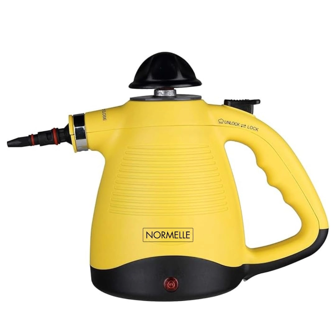 Portable Steam Cleaner - 450ml