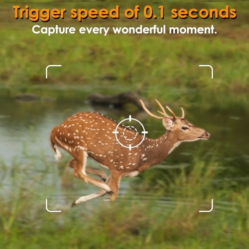 Trail Camera - 32MP Pack