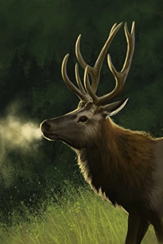 Atlas Enchantes Lands