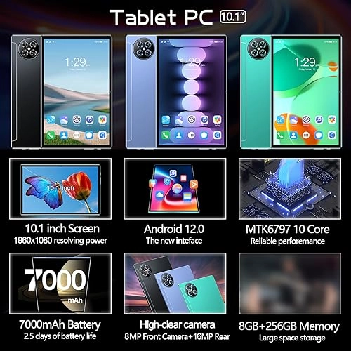 Tablet - 256GB 10.1"