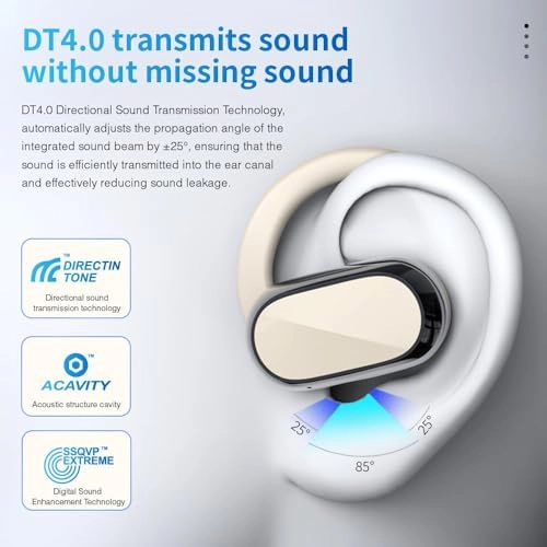 PN-1302 - Wireless Headphone