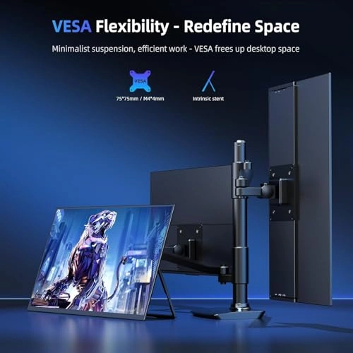 Portable Monitor - 1080P 18.5 Inch