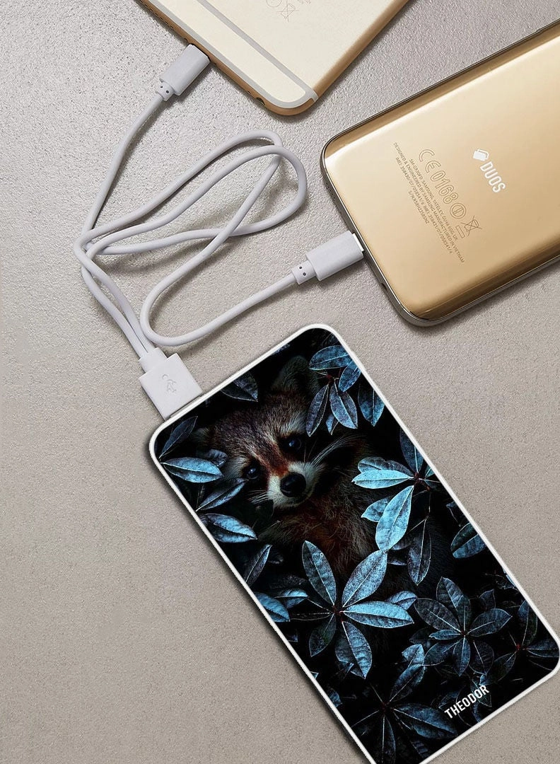 EX_PPBA006 - 10000 Watt-hour 18W PD