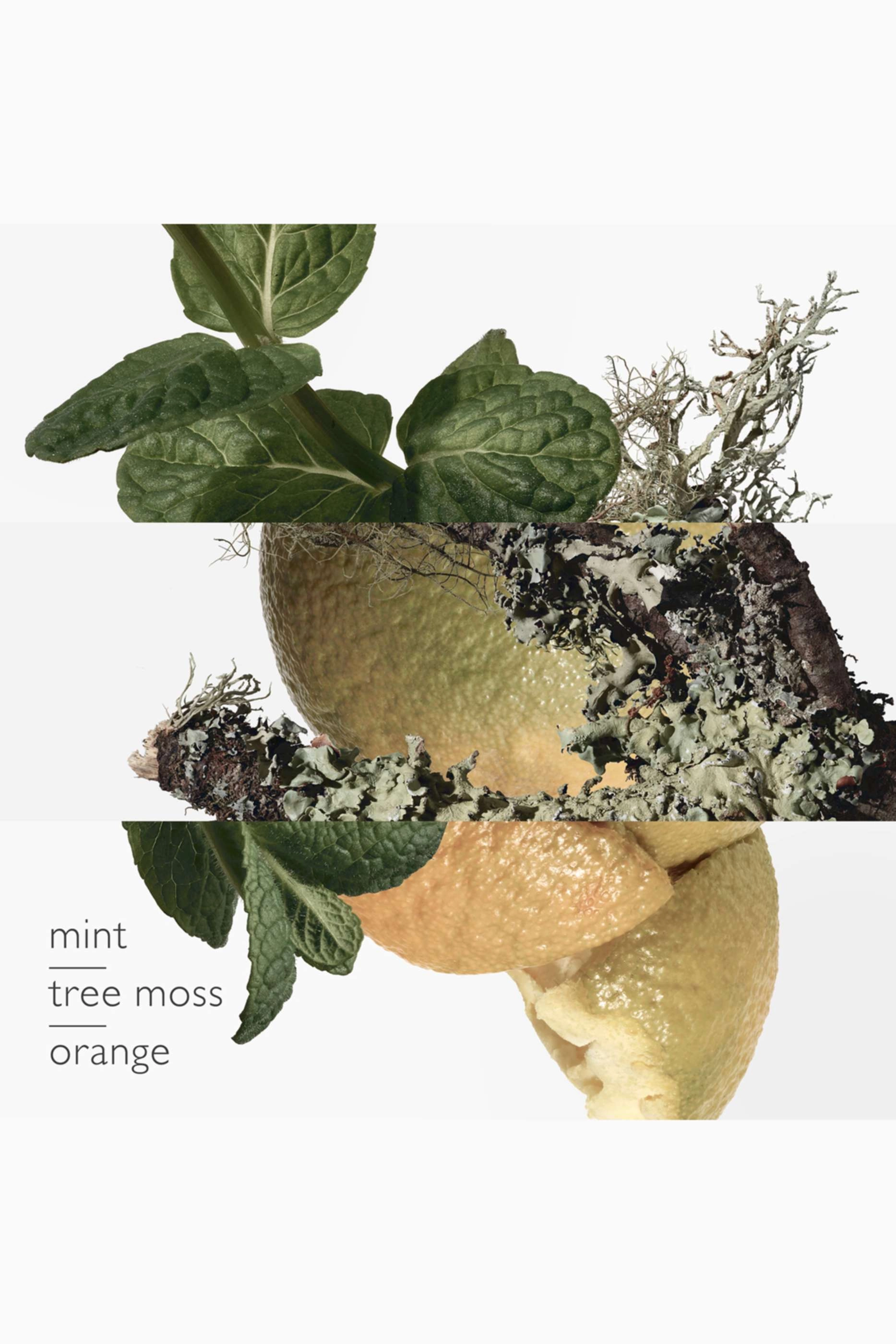 Eau D'Orange - 100ml