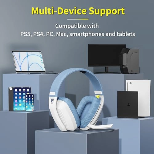 BW02-BT Wireless Headset