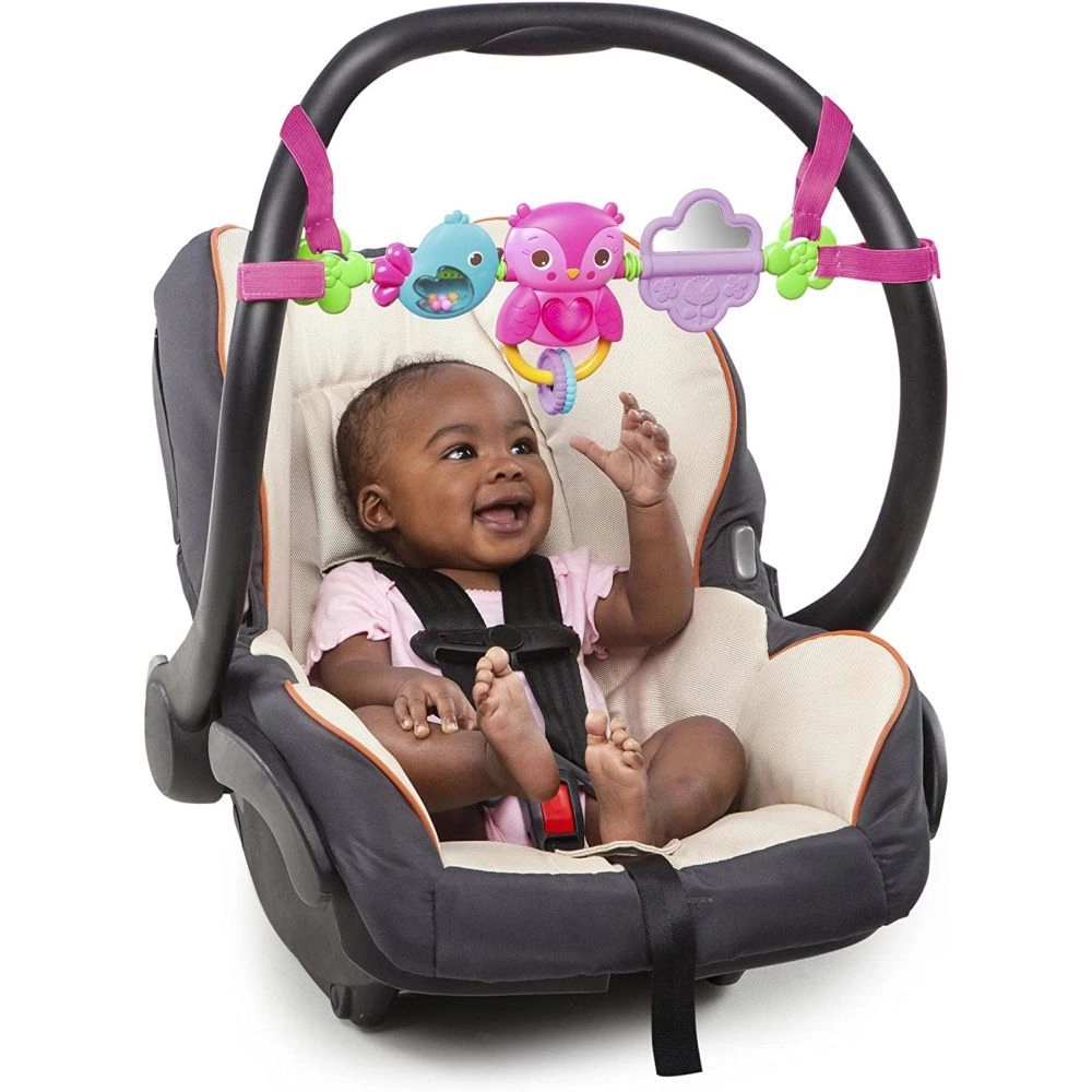 Busy Birdies Carrier Toy Bar Toy - 0 months