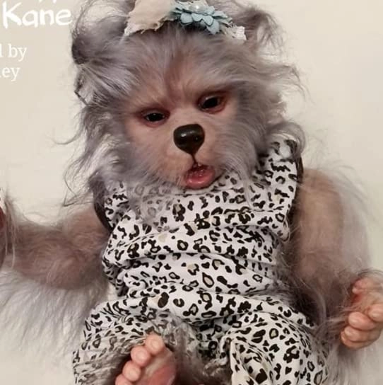 Lula Kane Reborn Doll - 18 Inch Unfinished Kit
