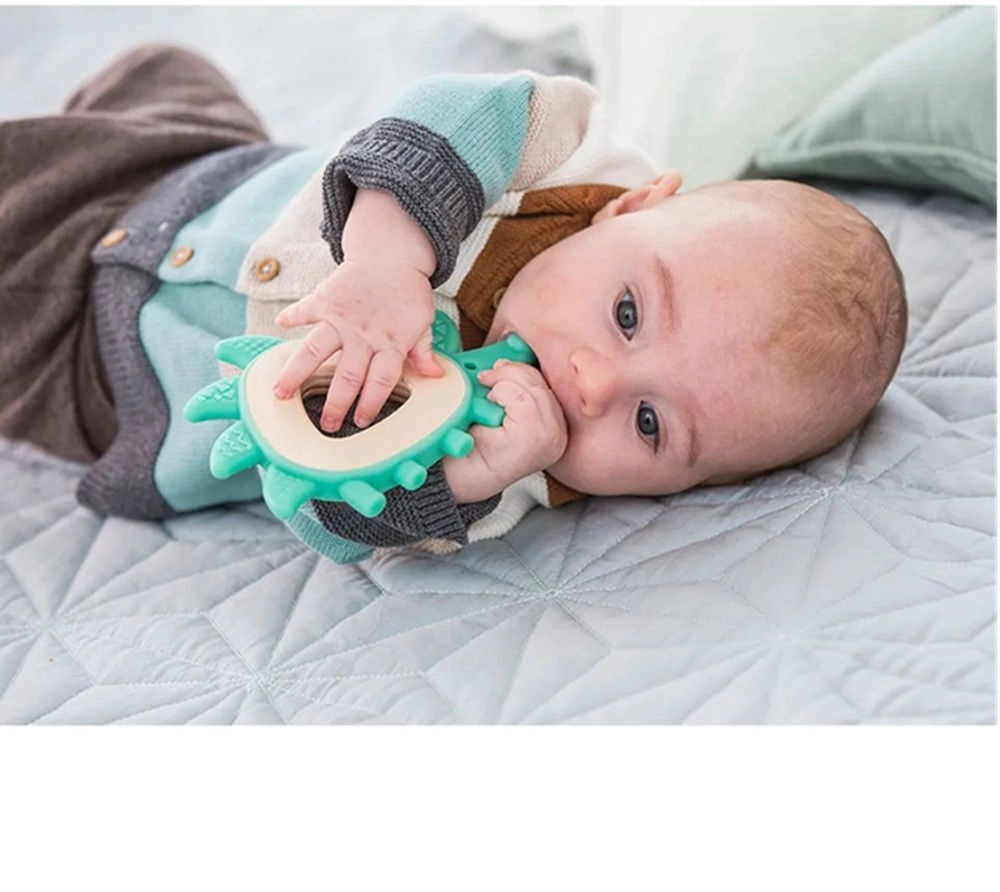 Teether Hedgehog - Green FSC Certified