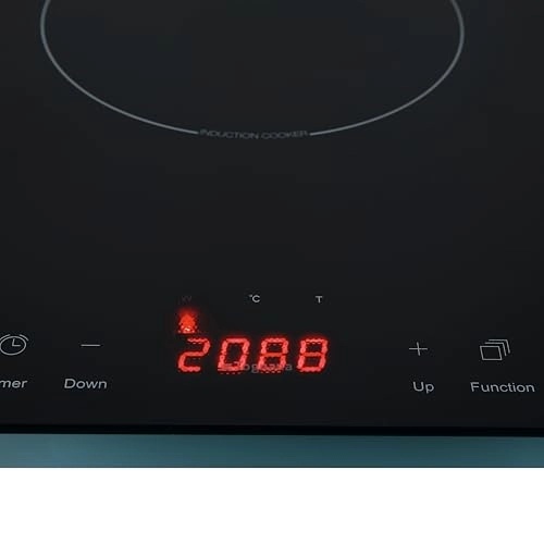 D2DPN03IRZU Induction hob