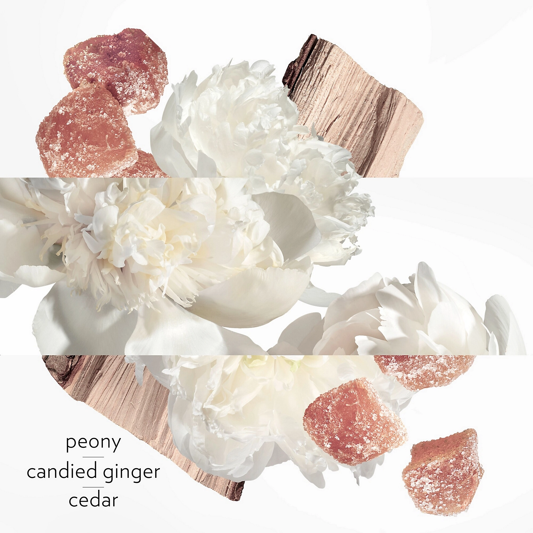 Twilly d'Hermès Eau de Parfum 50ml