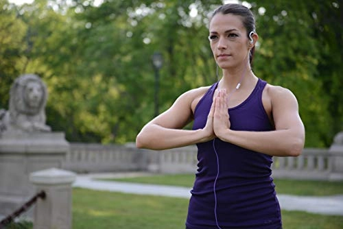 FitClips KSC32iV - Wired Headset