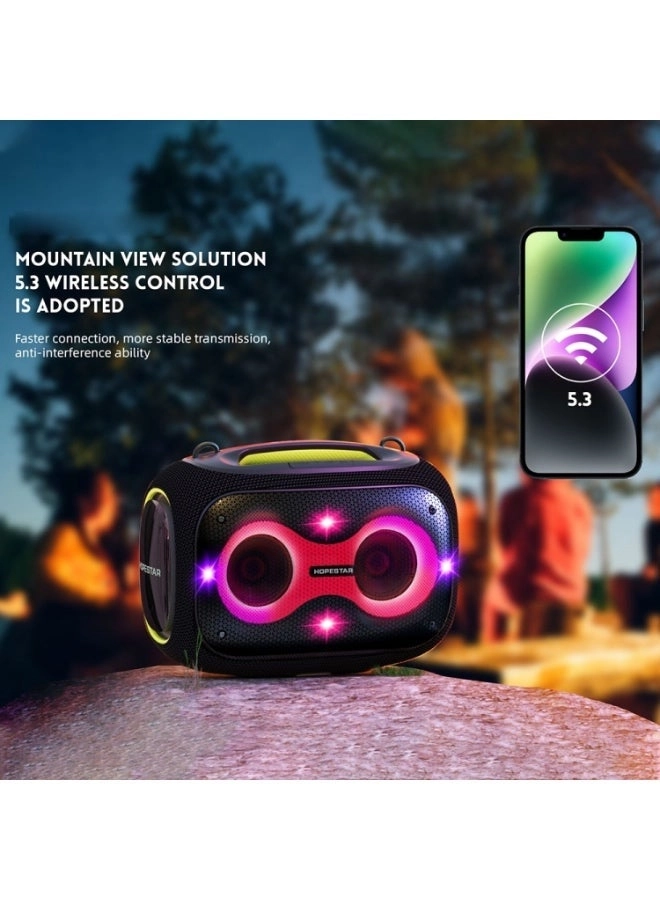 Party Box - 2 Microphones 120W