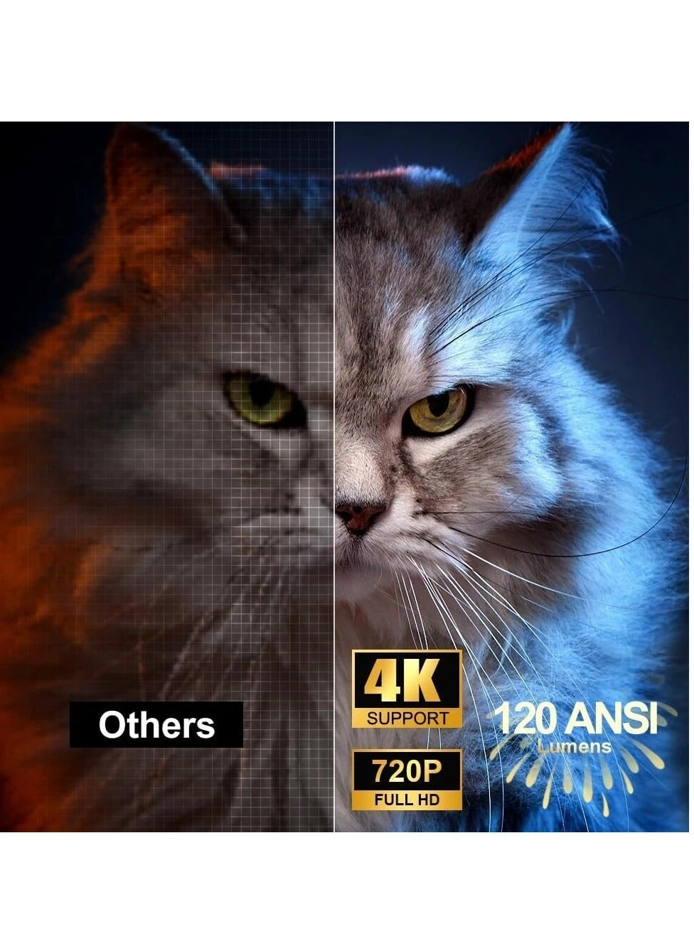 HY300 200 ANSI Lumens