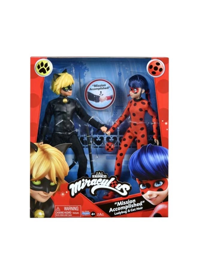 Mission Accomplished - Ladybug + Cat Noir (50365) 2 pcs