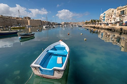 D3500 + AF-P DX NIKKOR 10-20mm