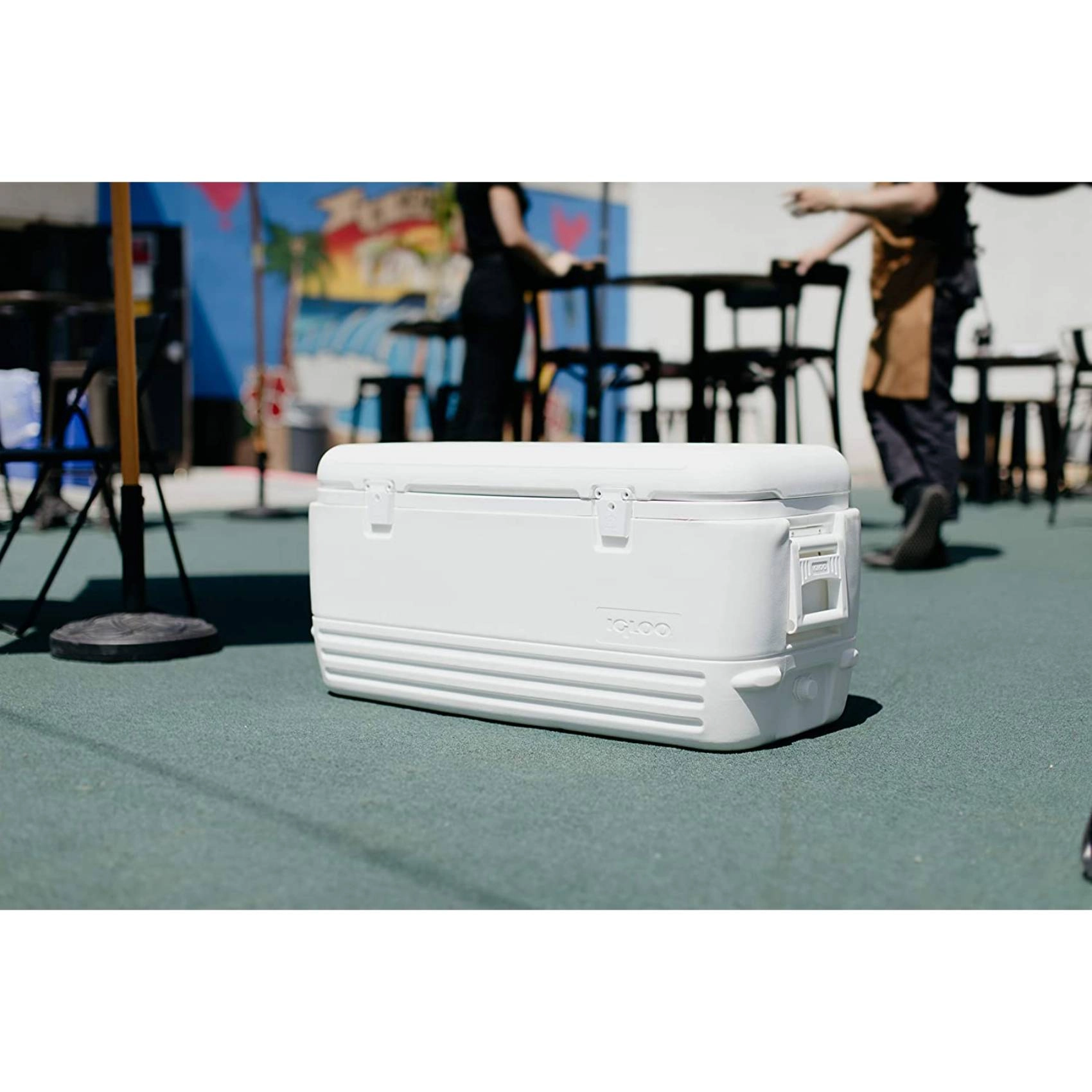 Polar Cooler 00044577