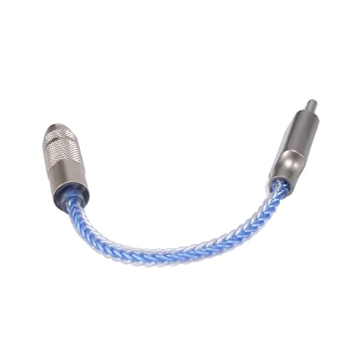 CX31993 - Type C 3.5mm Output
