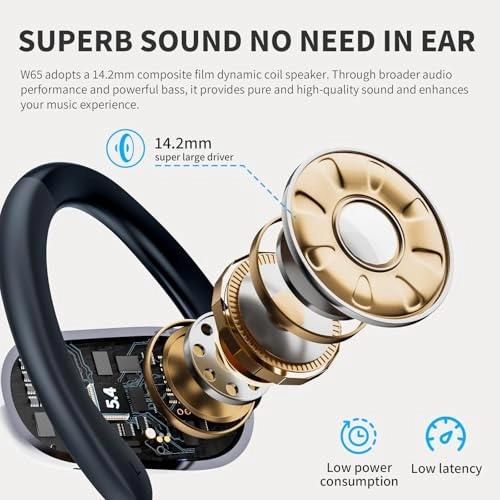 W65 Wireless Headphone