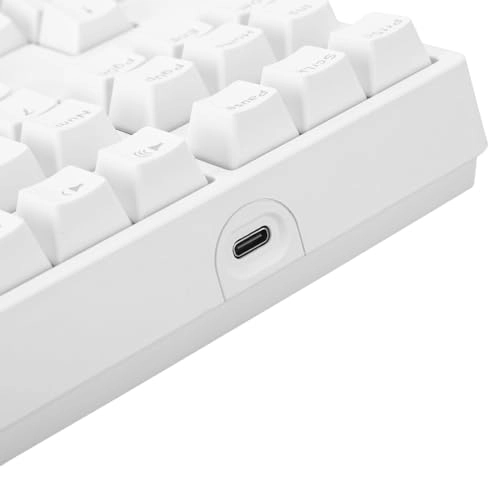 Mechanical Number Pad - Blue switch