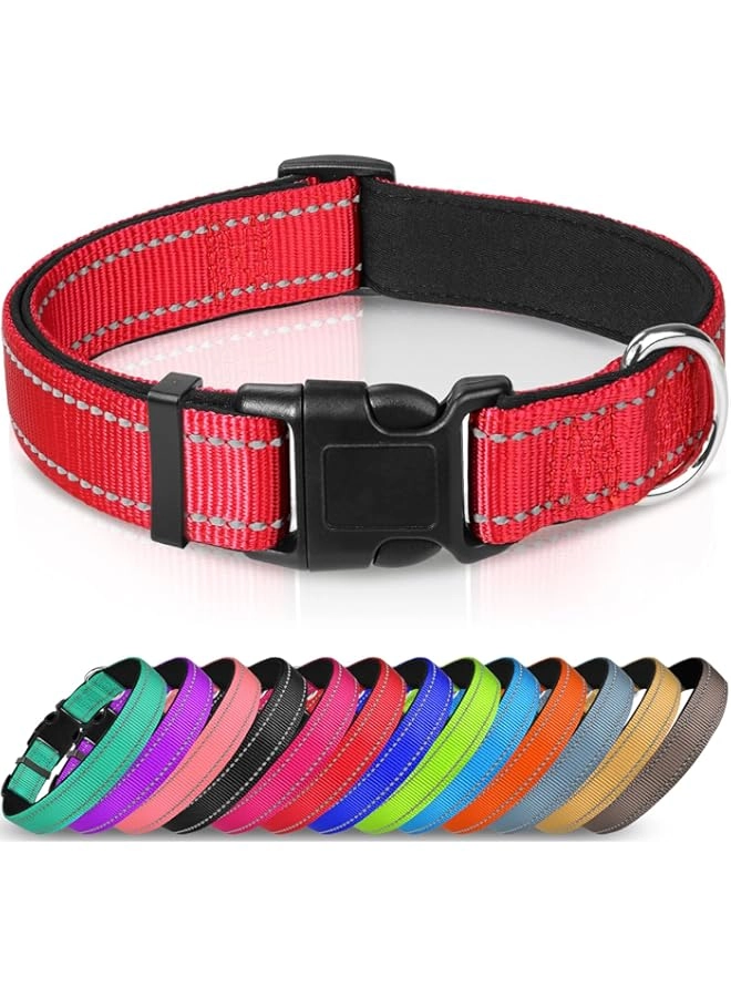 The Comfort Collar - Medium Dog