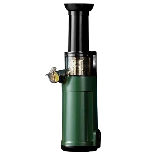 masticating juicer - 120W